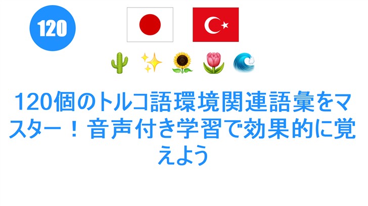 120個のトルコ語環境関連語彙をマスター！音声付き学習で効果的に覚えよう